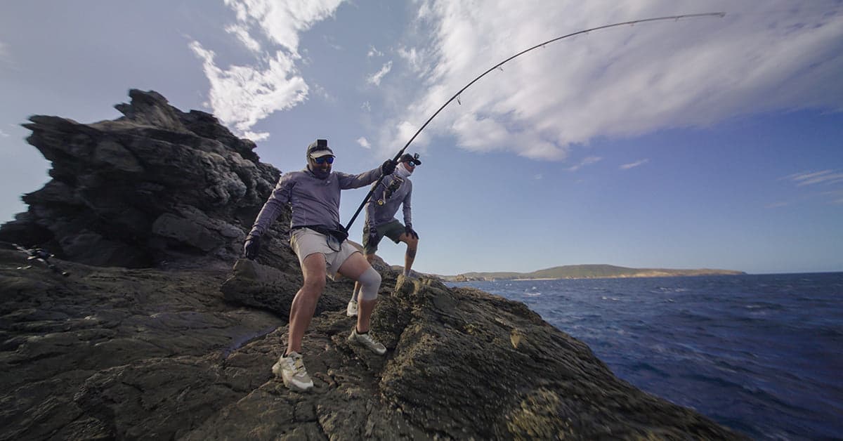 Malosi Lures — Malosi Studio lure feature product photograph